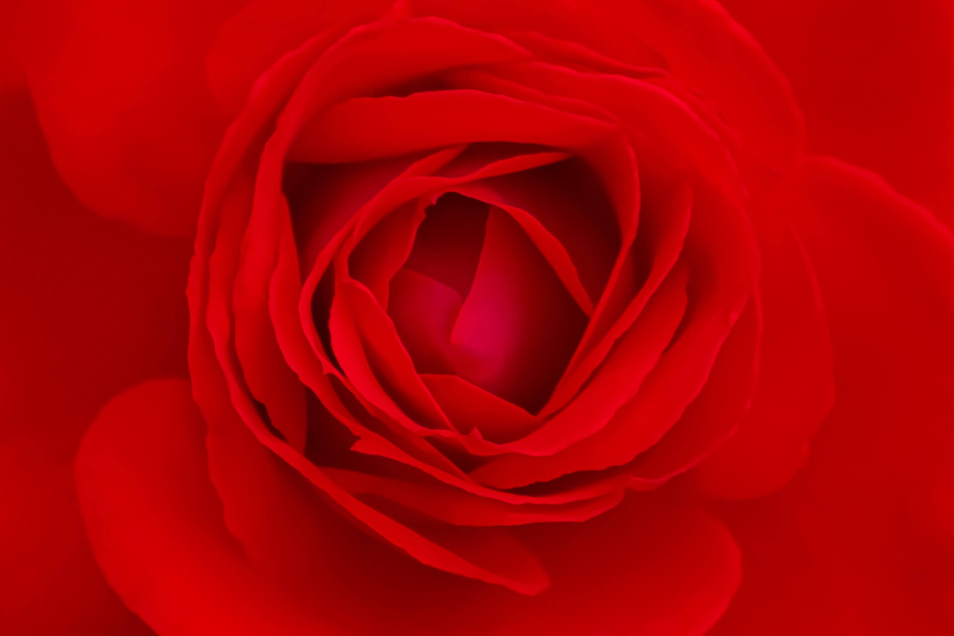 shutterstock_2291029955.jpg 