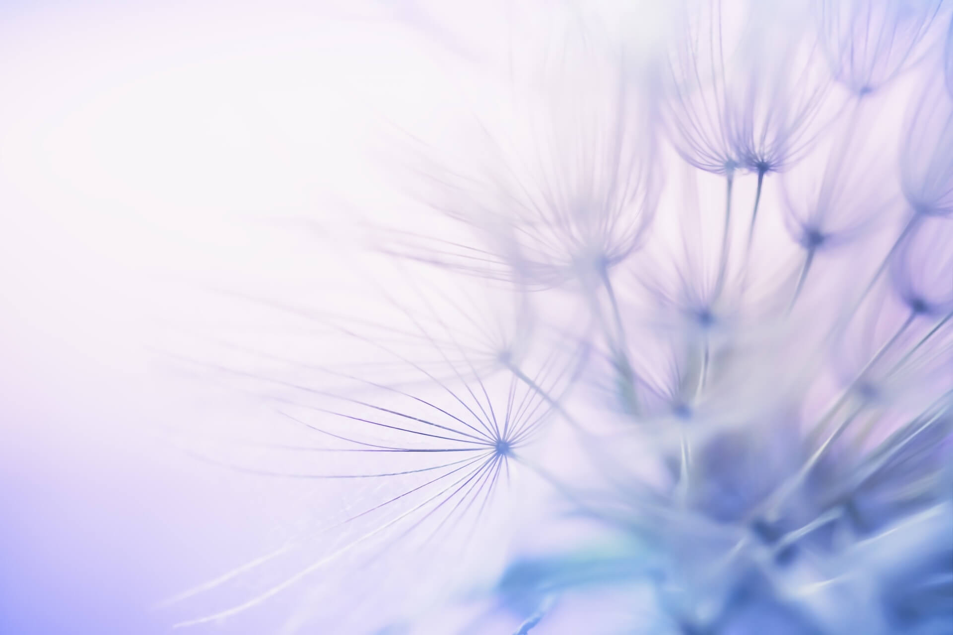  shutterstock_2436022269.jpg