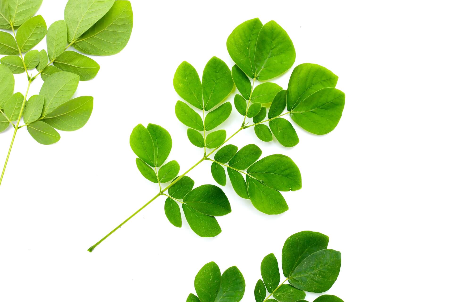  shutterstock_2668365121.jpg