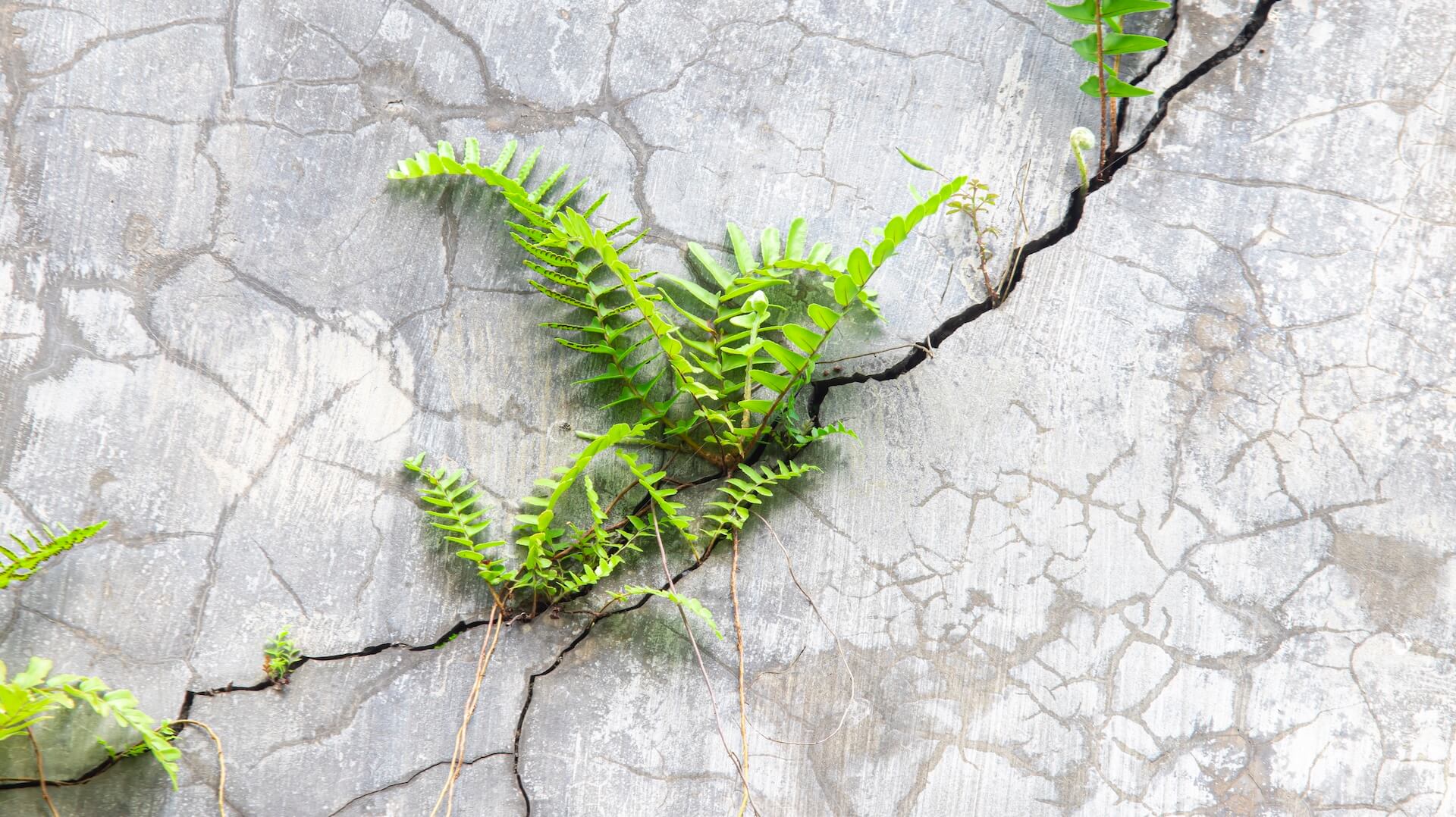  shutterstock_2754644973.jpg