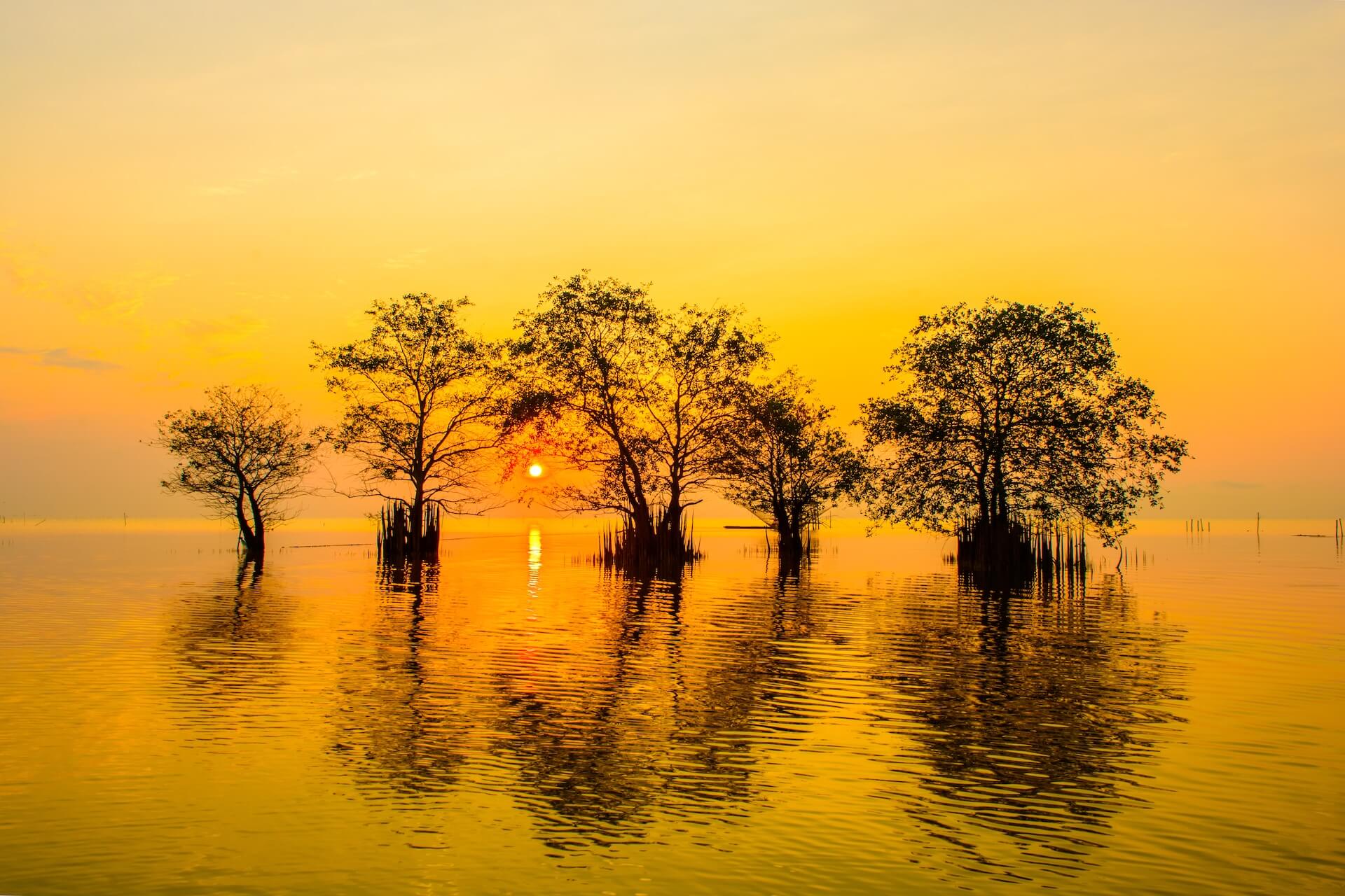  shutterstock_401748226.jpg